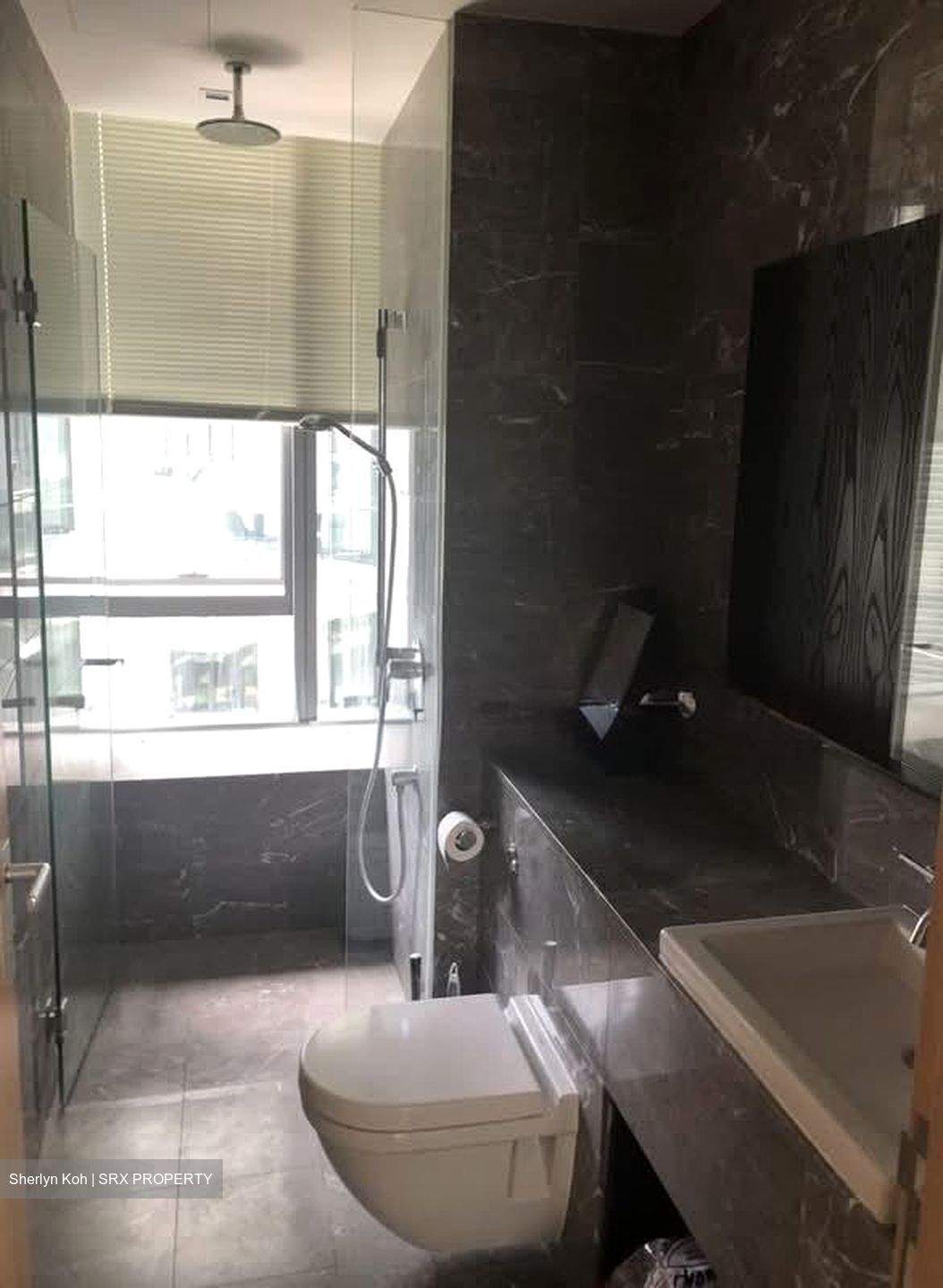 Helios Residences (D9), Apartment #573172281